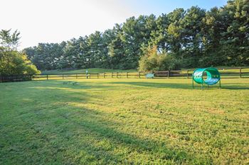 Dog park